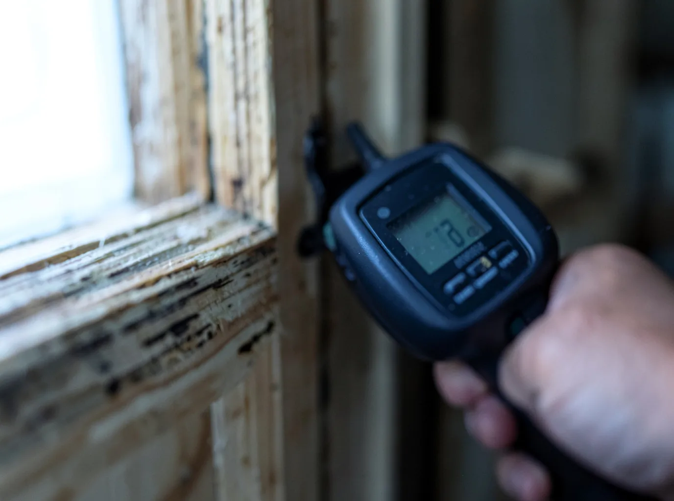 Moisture Inspection And Documentation in Farmer City, IL